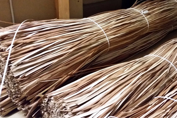 Où peut-on trouver de l'osier ?