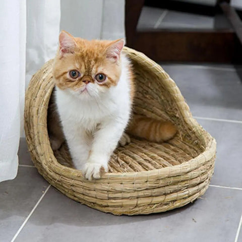 Panier osier petit chat