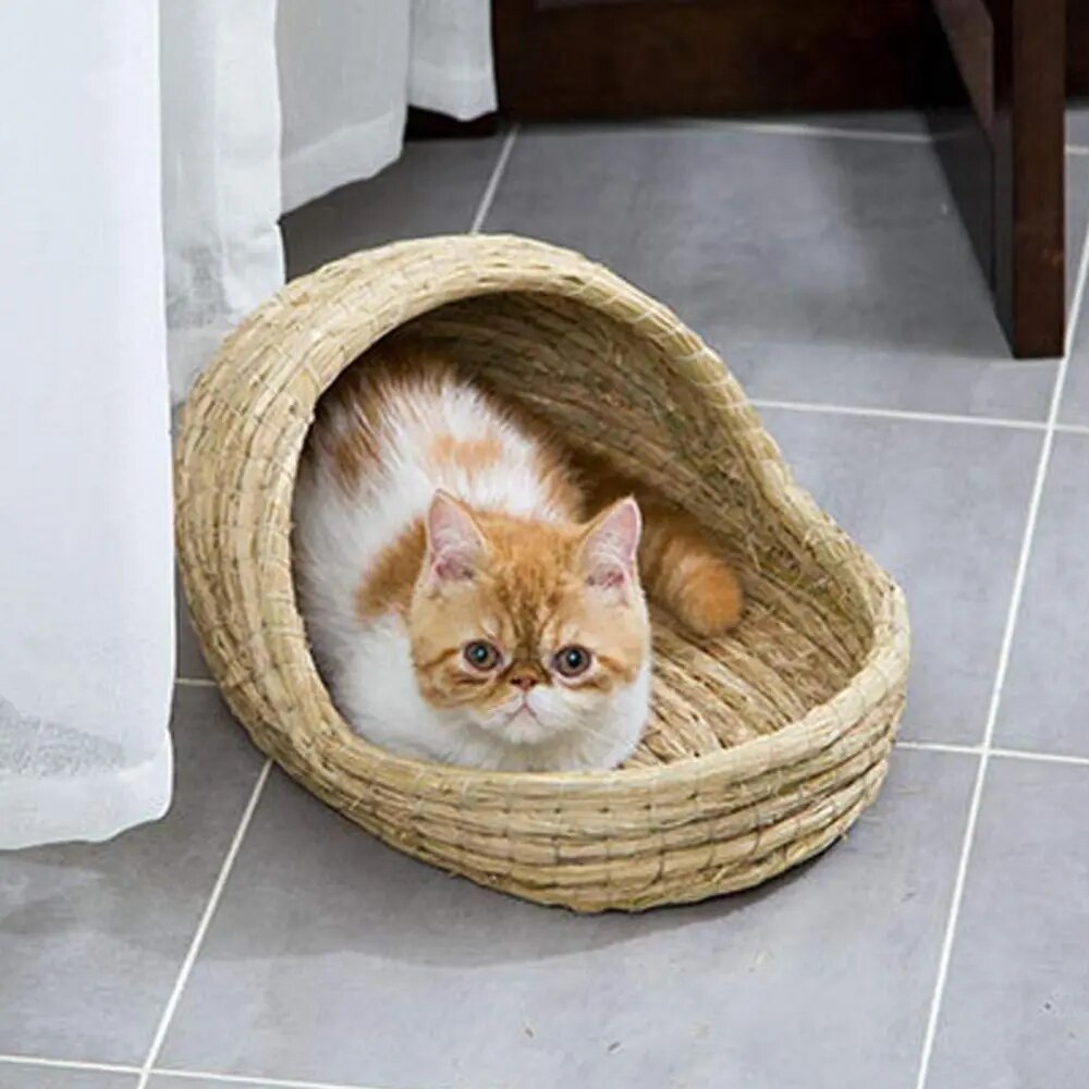 Panier osier petit chat