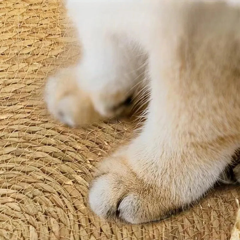 Panier chat osier rond