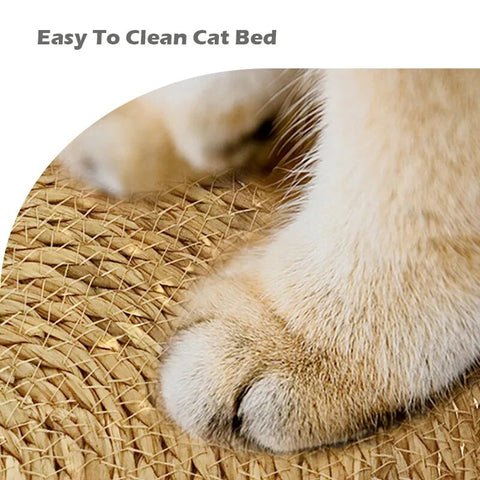 Panier osier chat design